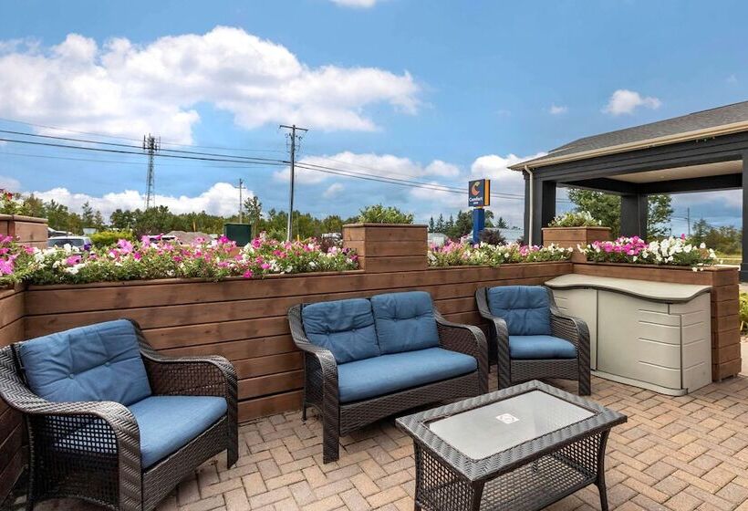 فندق Comfort Inn