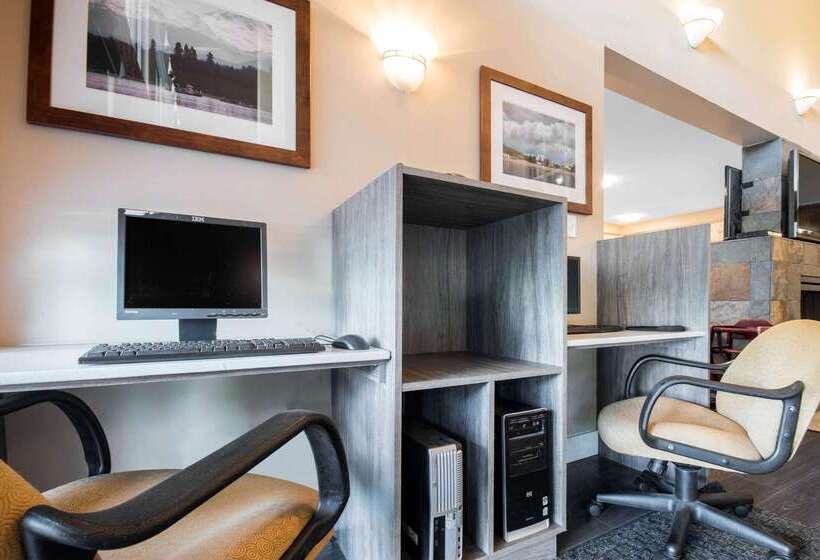 هتل Comfort Inn & Suites