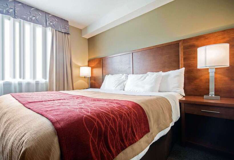 هتل Comfort Inn & Suites