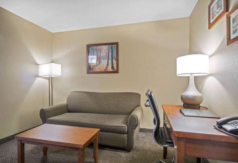 هتل Comfort Inn & Suites