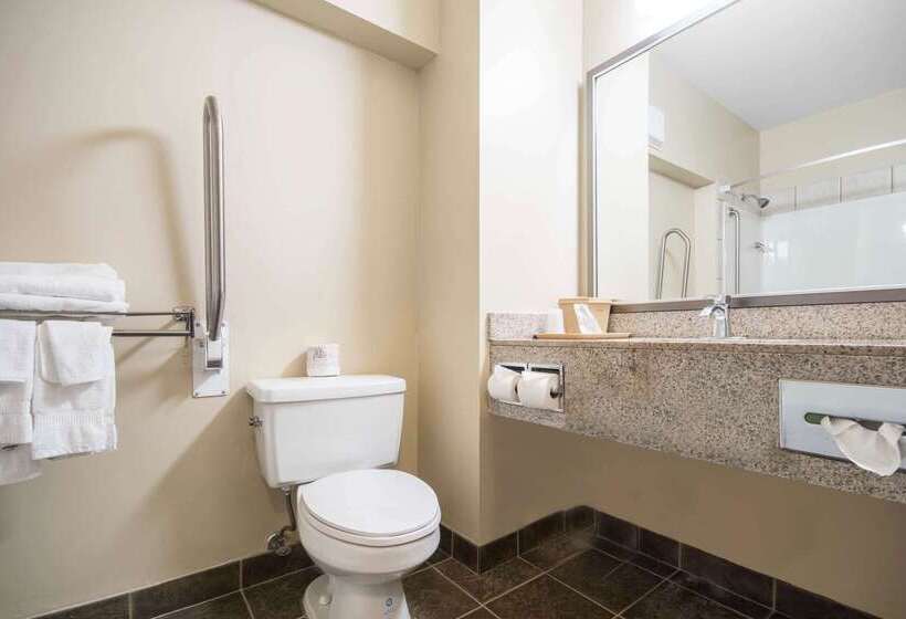 酒店 Comfort Inn & Suites