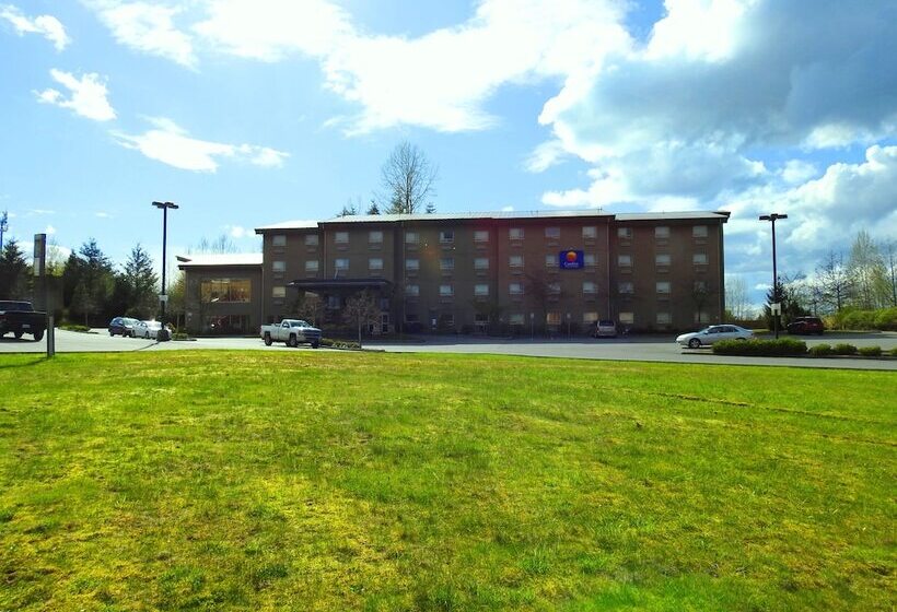 هتل Comfort Inn & Suites