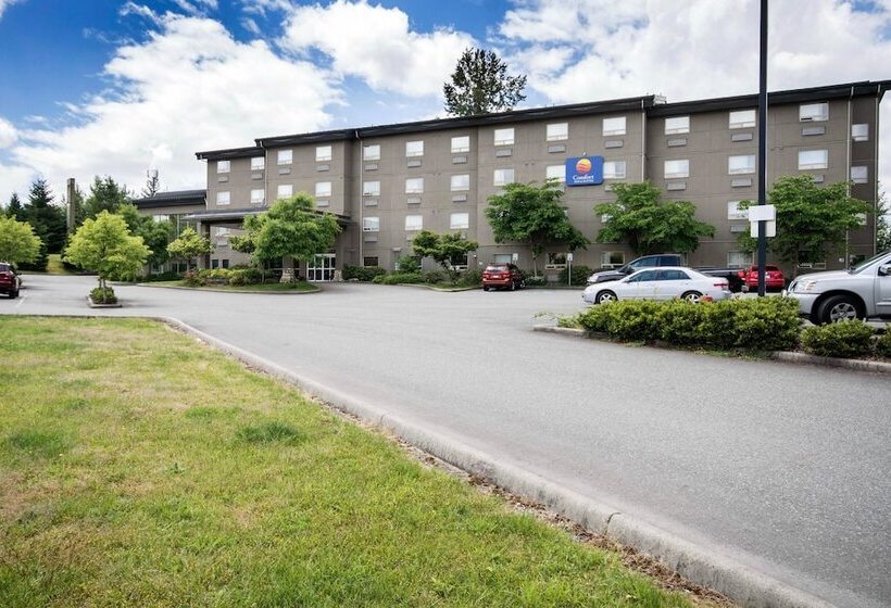 هتل Comfort Inn & Suites