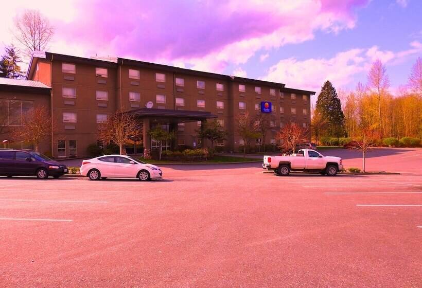 هتل Comfort Inn & Suites