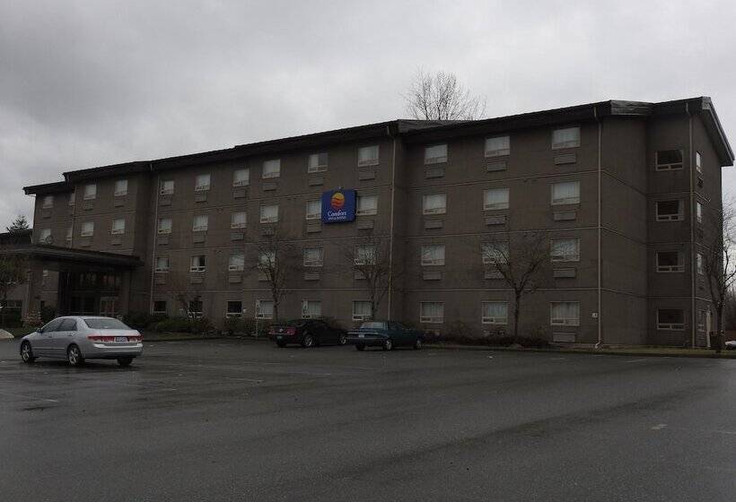 هتل Comfort Inn & Suites