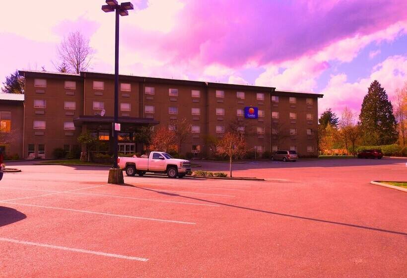 هتل Comfort Inn & Suites