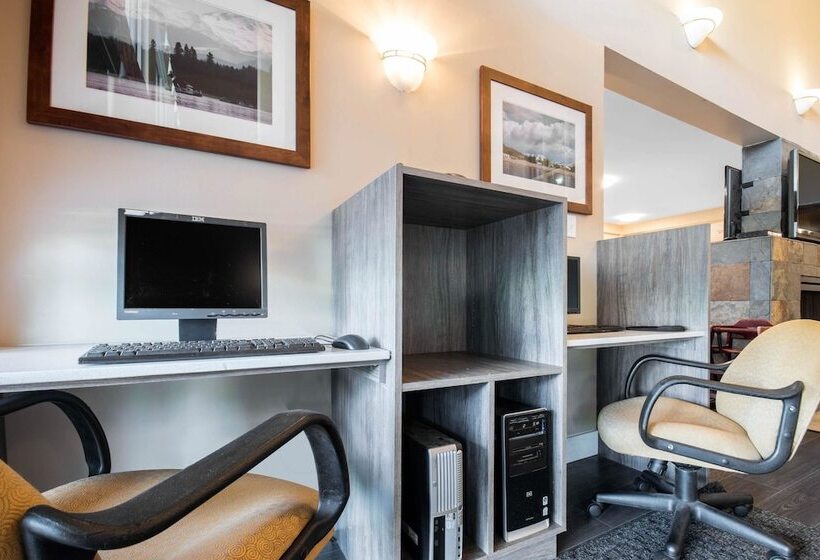 هتل Comfort Inn & Suites