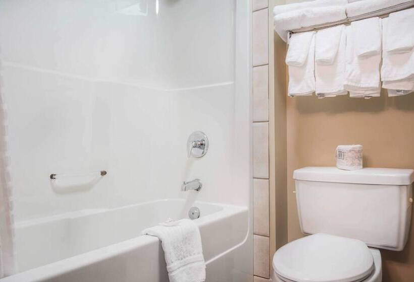 酒店 Comfort Inn & Suites