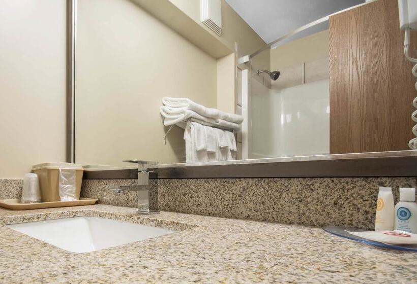 هتل Comfort Inn & Suites