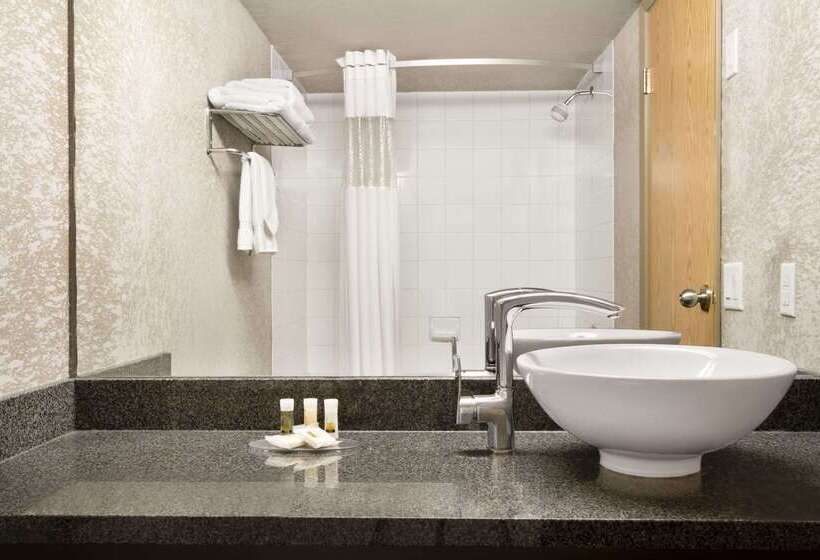 בית מלון כפרי Days Inn By Wyndham Calgary Airport