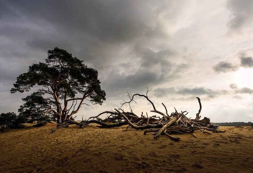 هتل Restaurant De Echoput