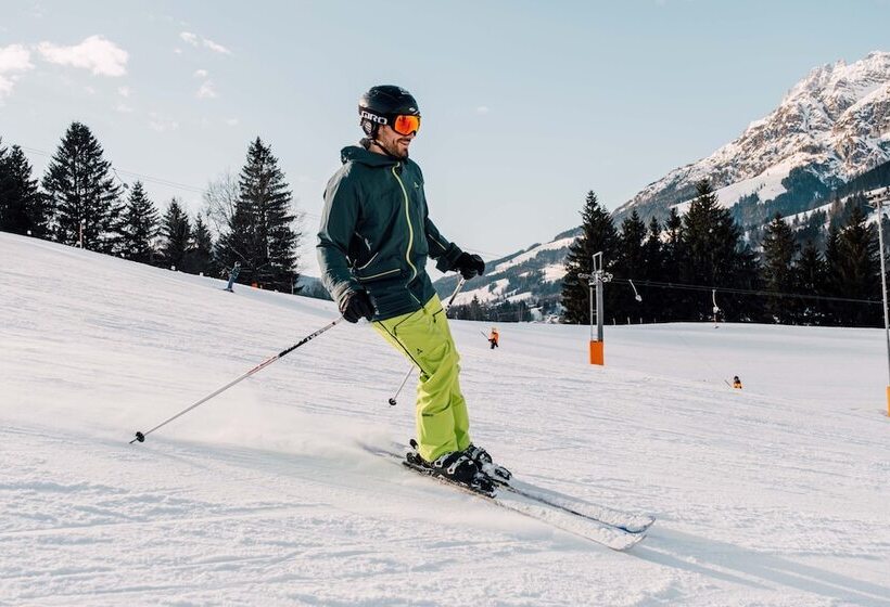 호텔 Der Löwe Lebe Frei