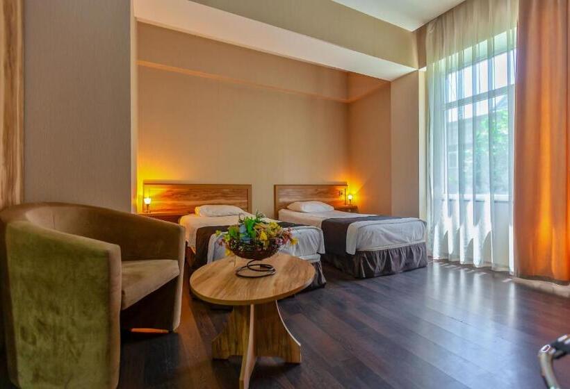 酒店 Diplomat Suites