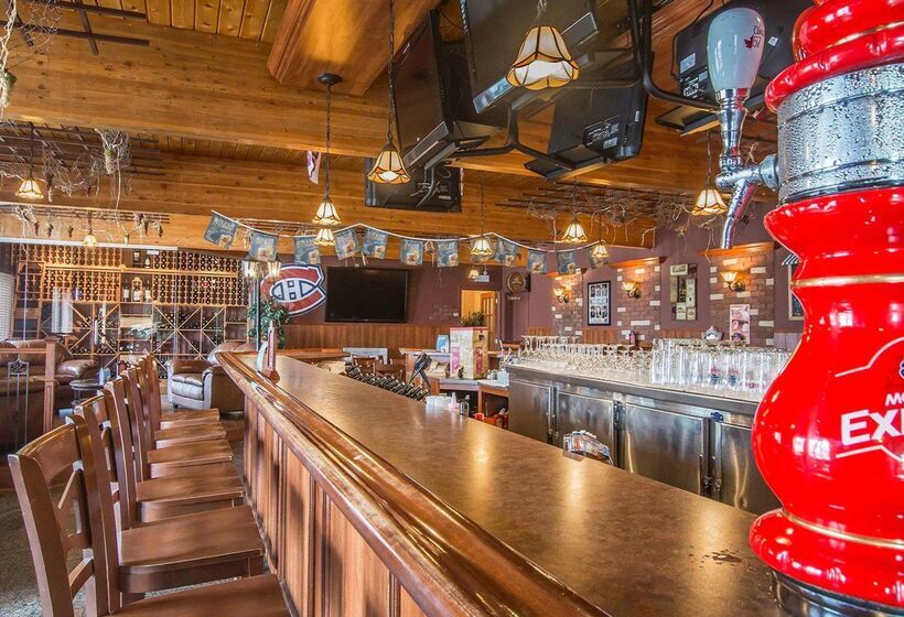 酒店 Econo Lodge Forestville