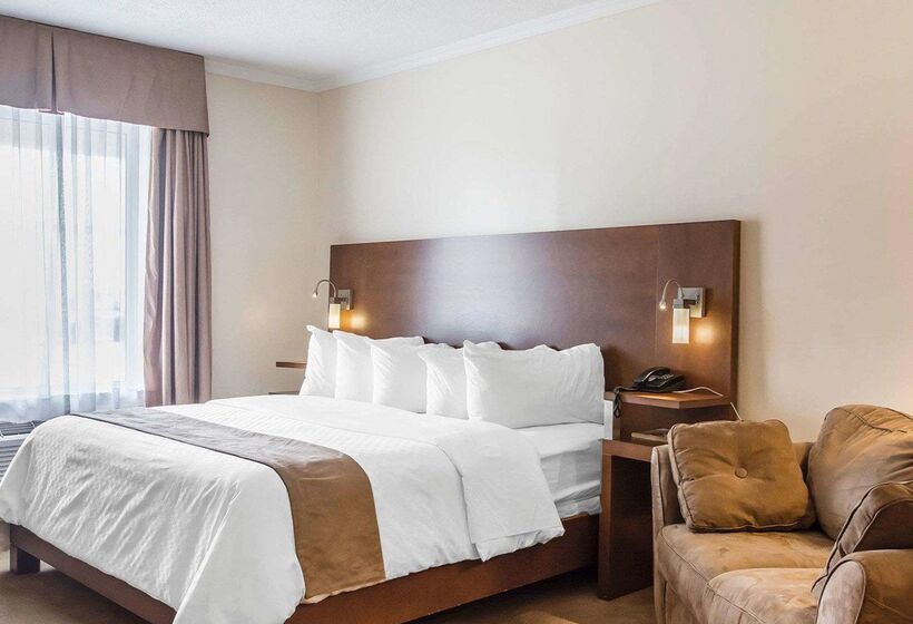 酒店 Econo Lodge Forestville