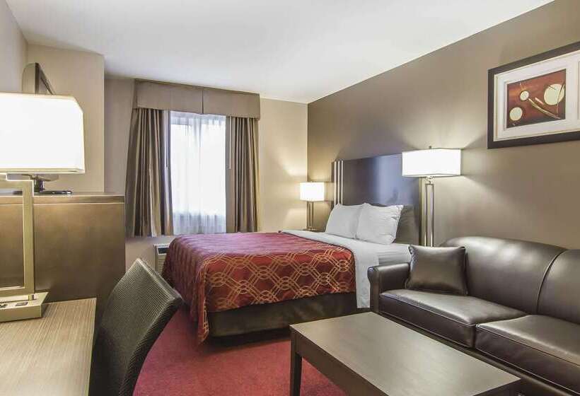 בית מלון כפרי Econo Lodge Inn & Suites