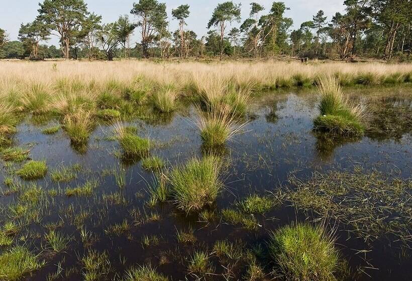 Fletcher Hotel Restaurant Jagershorst Eindhoven