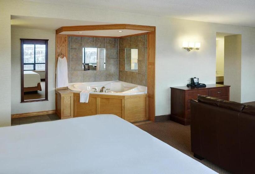 ホテル Greenwood Inn & Suites