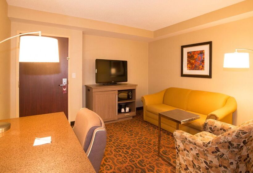 호텔 Hampton Inn By Hilton Toronto Mississauga West