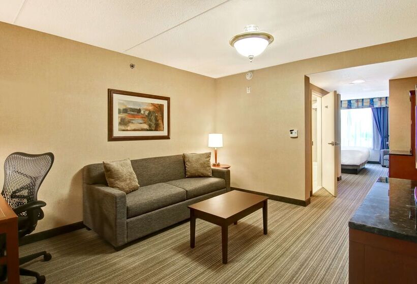 فندق Hilton Garden Inn Toronto/burlington