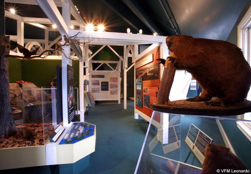 Holiday Inn Express Hotel & Suites 1000 Islands   Gananoque, An Ihg