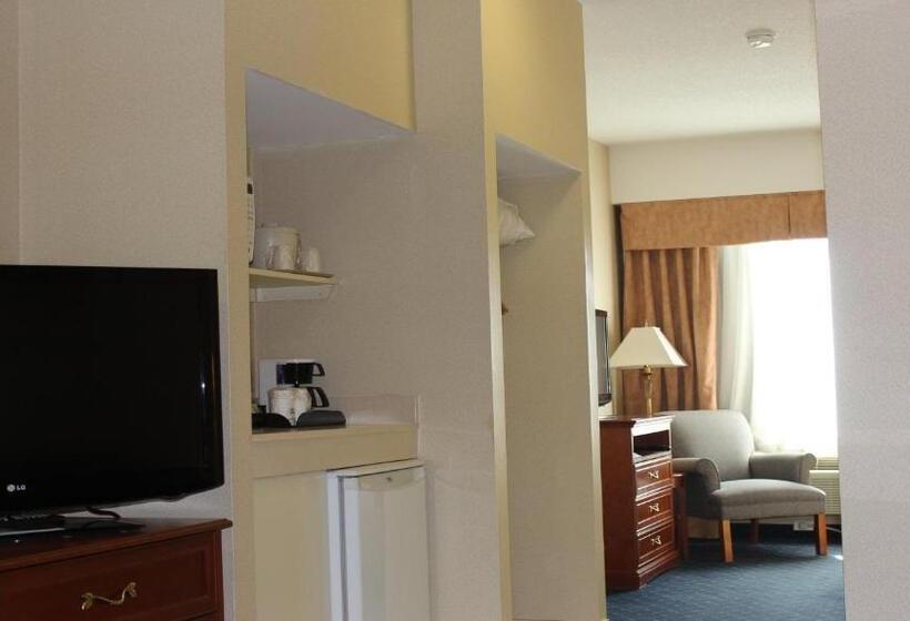 Holiday Inn Express Hotel & Suites Barrie, An Ihg
