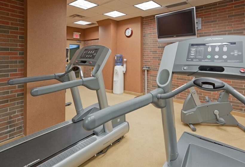 酒店 Holiday Inn Niagara Falls By The Falls, An Ihg