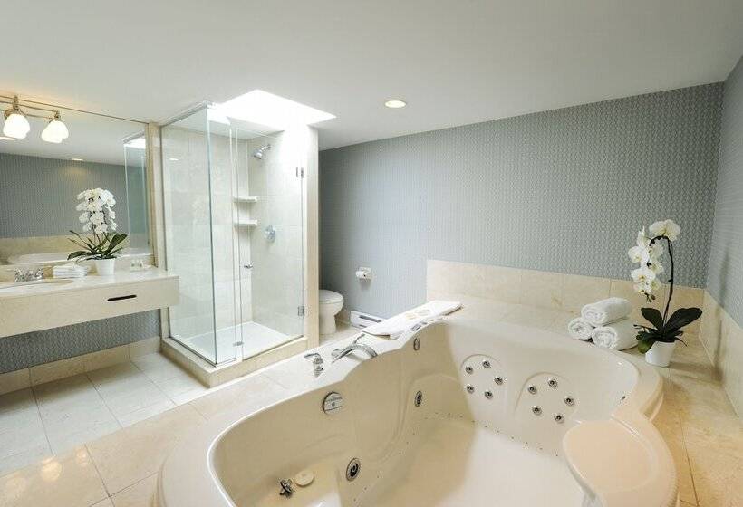 酒店 Holiday Inn Niagara Falls By The Falls, An Ihg