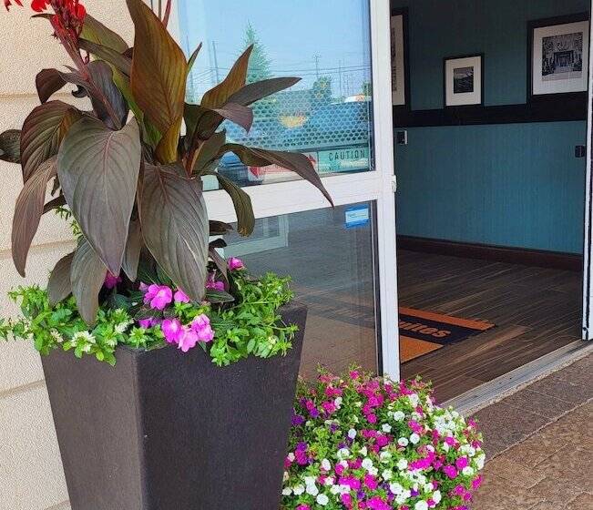 فندق Holiday Inn Express & Suites Kitchener Southeast, An Ihg