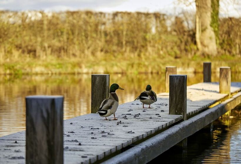 ホテル Lion Quays Resort