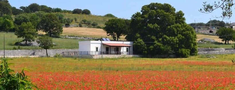 Отель Masseria Torricella