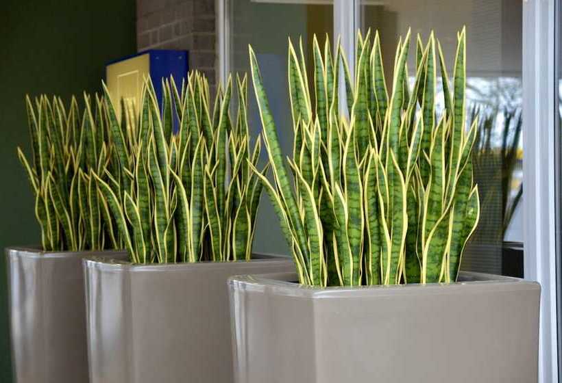 Median Hotel Hannover Messe