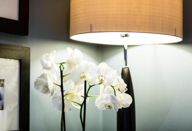 酒店 Montagu Place