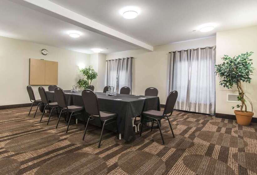 酒店 Quality Inn Airport