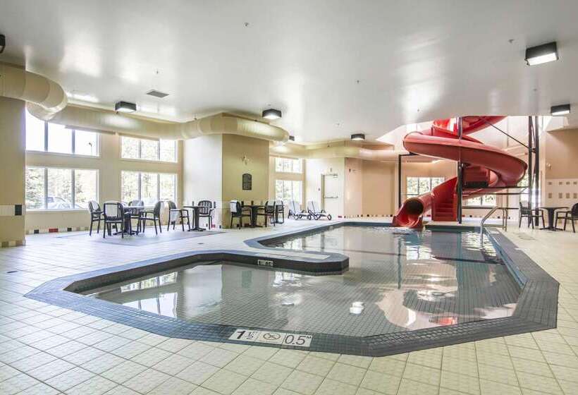 酒店 Quality Inn Airport