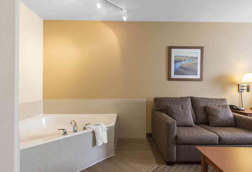 酒店 Quality Inn Airport