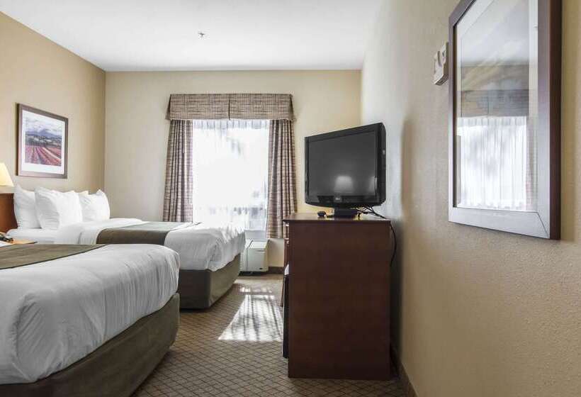 酒店 Quality Inn Airport