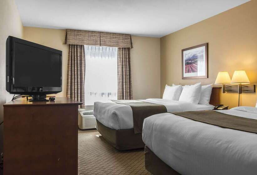 酒店 Quality Inn Airport