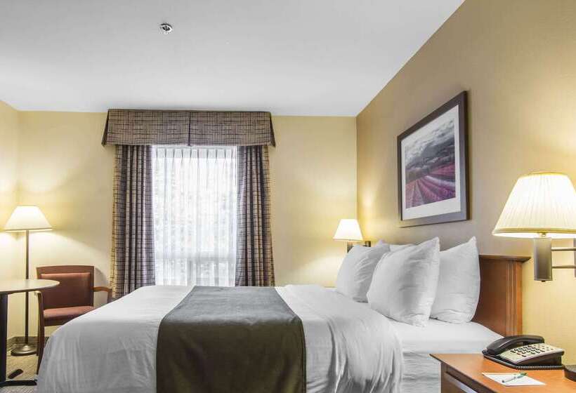 酒店 Quality Inn Airport