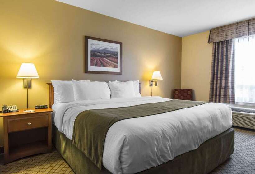 酒店 Quality Inn Airport