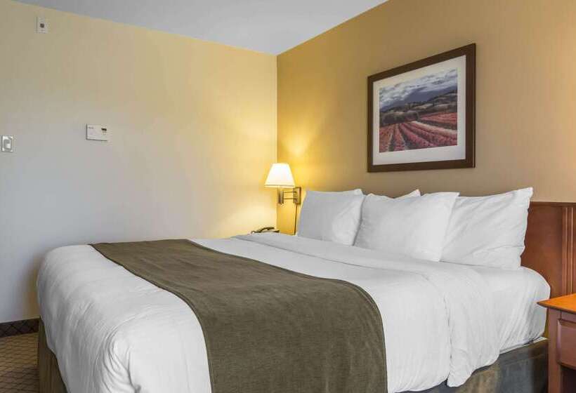 酒店 Quality Inn Airport