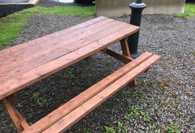 酒店 Quality Inn Airport