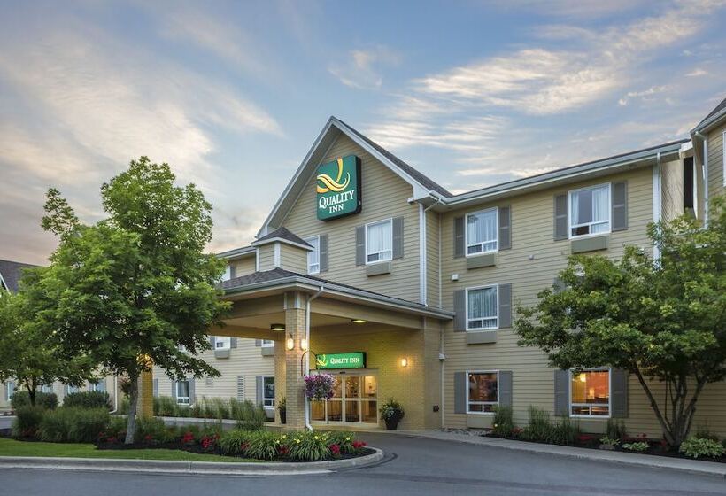 酒店 Quality Inn Airport