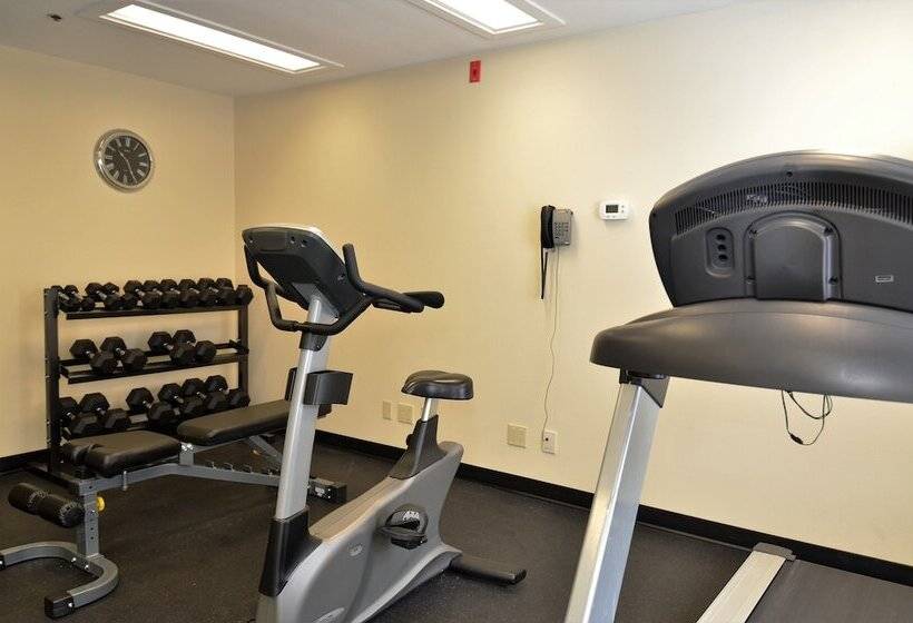 酒店 Quality Inn Airport