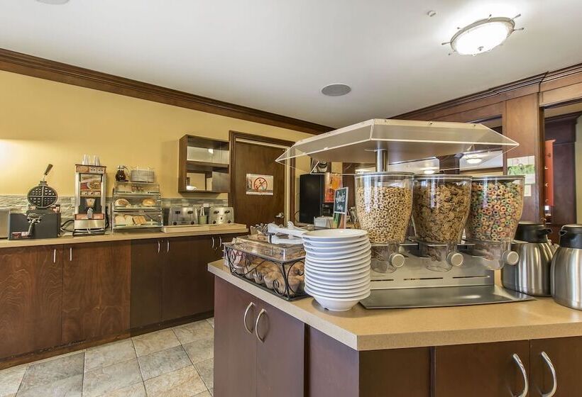 فندق Quality Inn