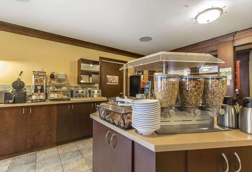 فندق Quality Inn