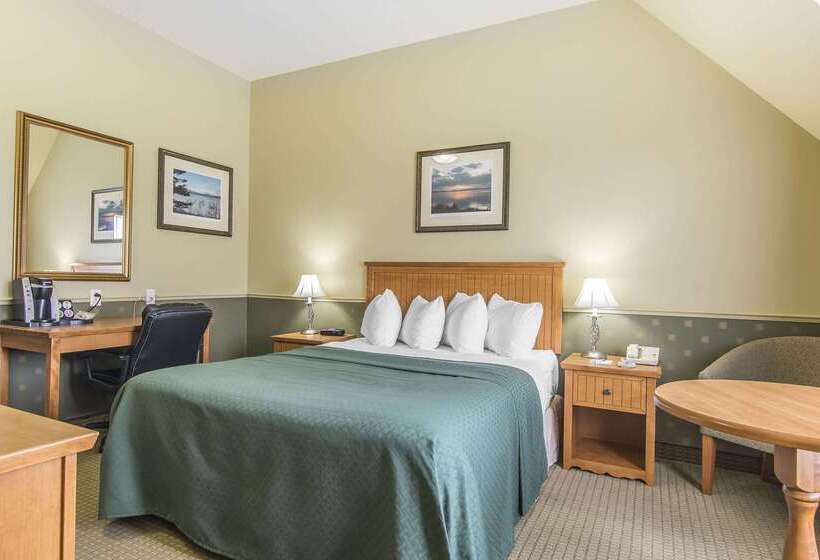 فندق Quality Inn