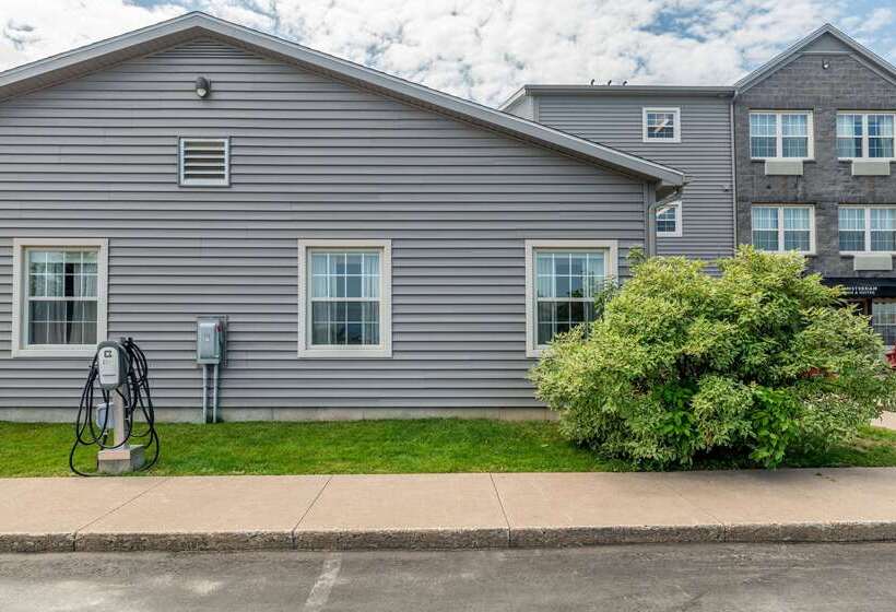 ホテル Quality Inn & Suites Amsterdam