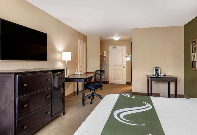 ホテル Quality Inn & Suites Amsterdam