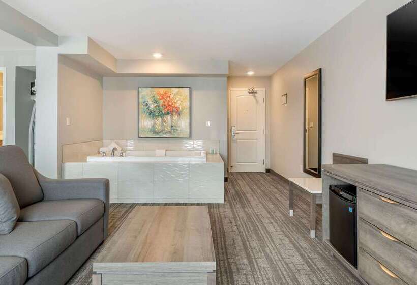 ホテル Quality Inn & Suites Amsterdam